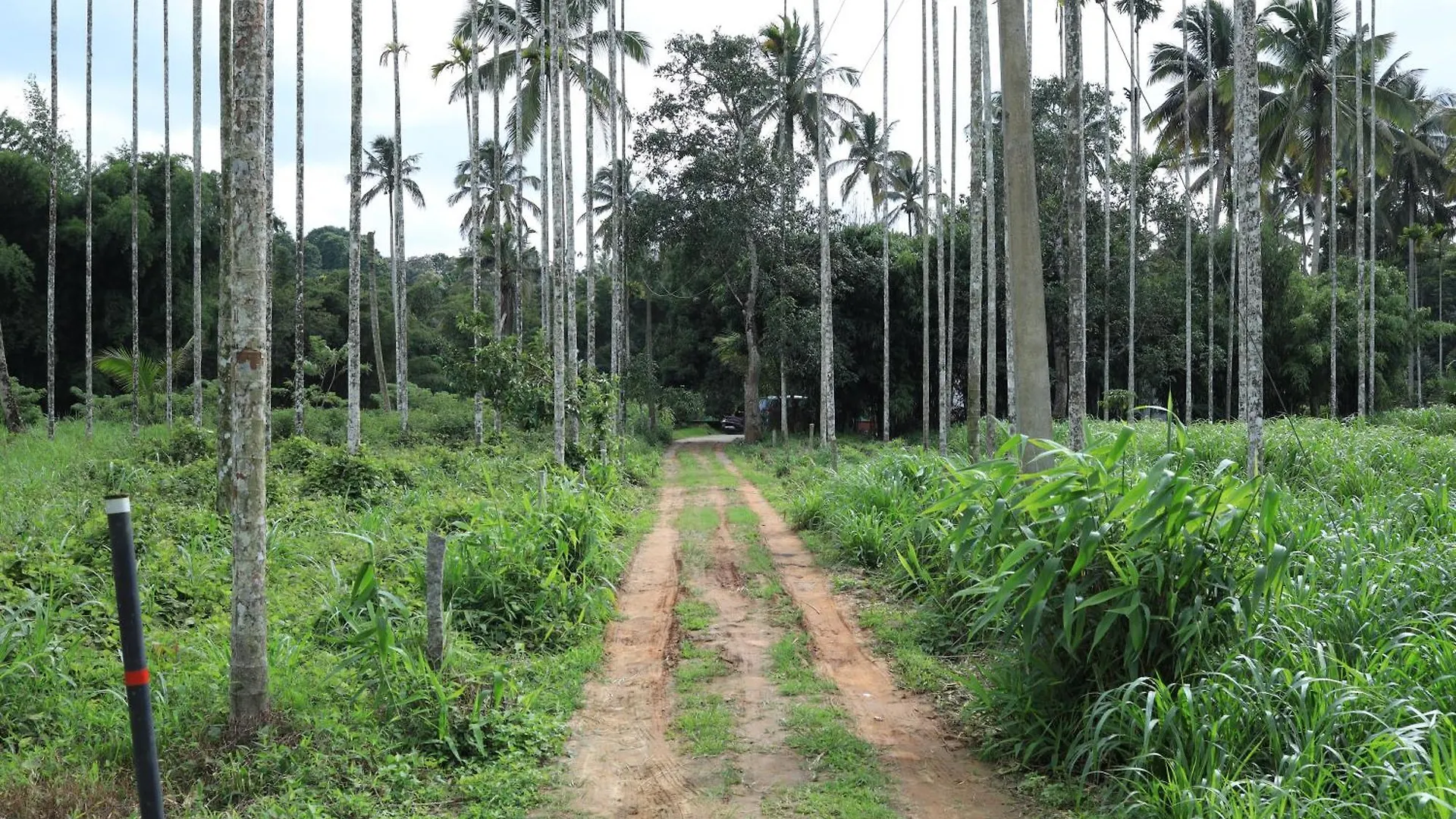 Bellfields Homestay Meenangadi